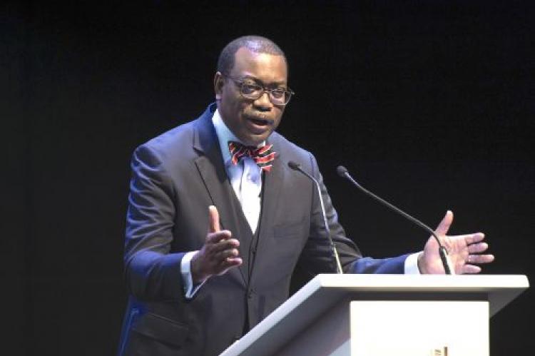 Akinwumi Adesina : « C’est l’Afrique qui devrait nourrir le monde, pas l’inverse »