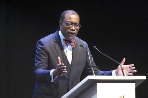 Akinwumi Adesina : « C’est l’Afrique qui devrait nourrir le monde, pas l’inverse »
