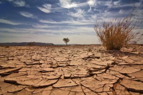 Zambie : le gouvernement veut lever 400 millions $ d’ici trois ans pour lutter contre le changement climatique